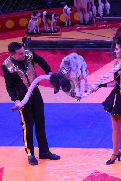 Circus 2018 2 1920w